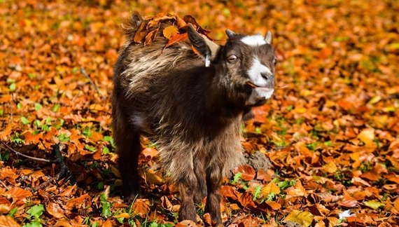 461767085_915234550630285_5078314731641225910_n