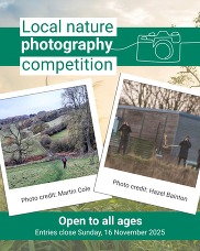 571135249_1242705954551200_8950137768514522057_n