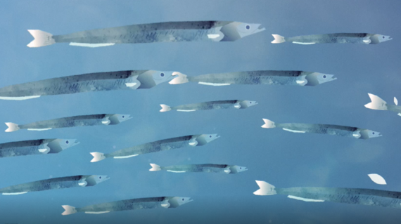 sand_eels_animation