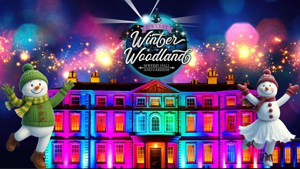 winter-woodland-banner-image-2025-1080-x-1080-px-19_crop