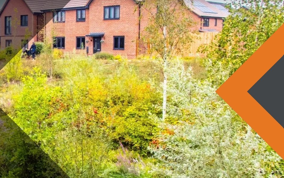 RSK Houses and Greenspace
