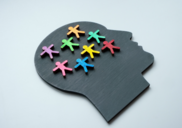 Partnerships for inclusion of neurodiversityin schools programme