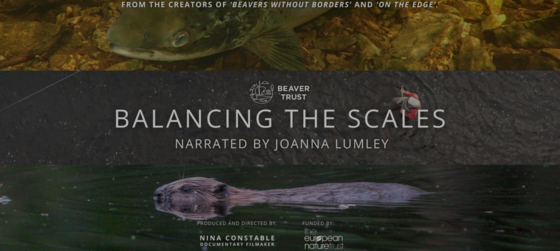 Balancing the scales beaver trust promo image