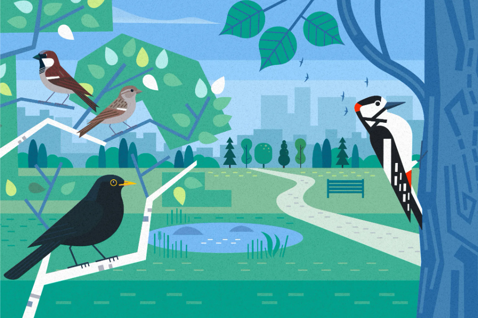 Birds in Green Spaces