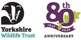 YWT logo