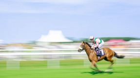 Exhibition at Beverley