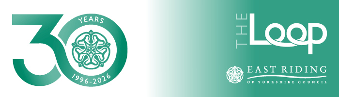30 year anniversary loop logo