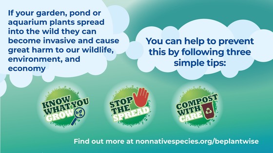 Be Plant Wise landscape poster