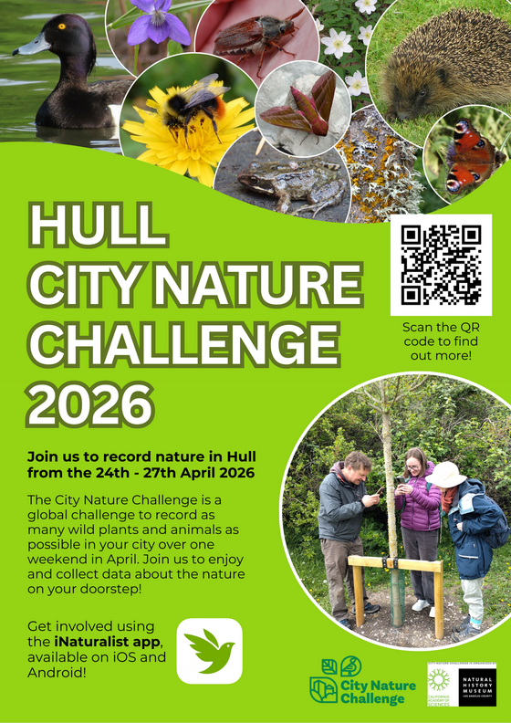 Hull City Nature Challenge