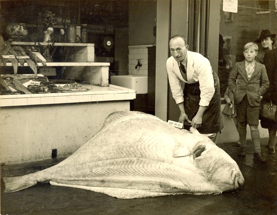 Big fish