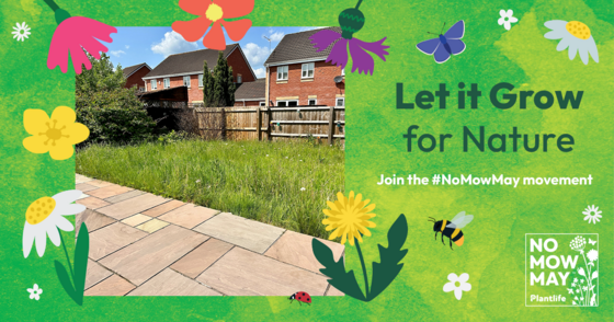 No Mow May poster