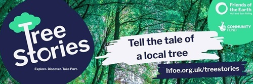 Tree stories banner