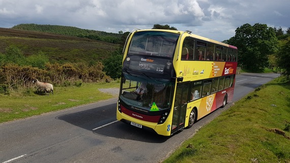 Moorsbus