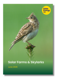 Solar farms skylarks report