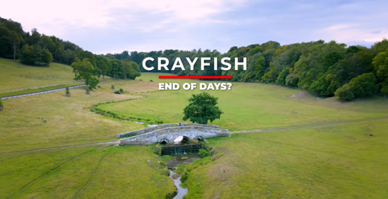 Crayfish end of days video