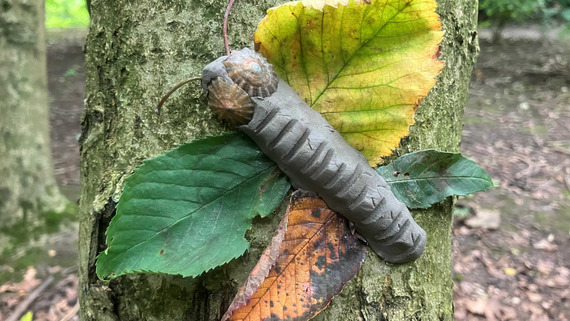 Leafy clay butterfly on trunk
