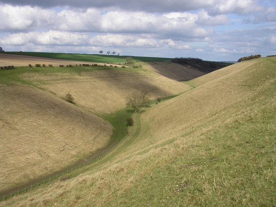 Yorkshire Wolds