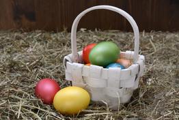Eggs in a basket