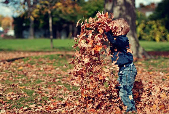 boy playing with autumn leaves