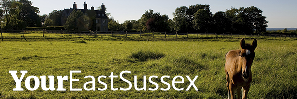 Your East Sussex masthead - a picture of a brown horse in a sunlit field