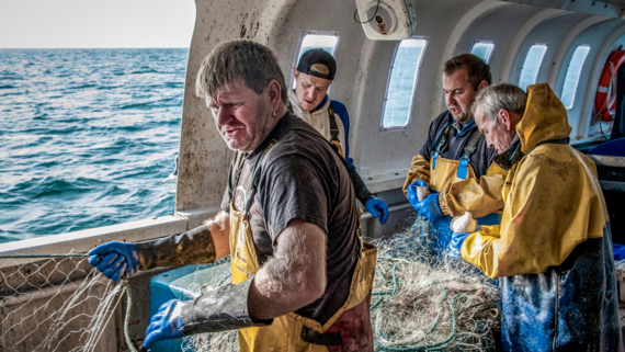 Hastings fishing community