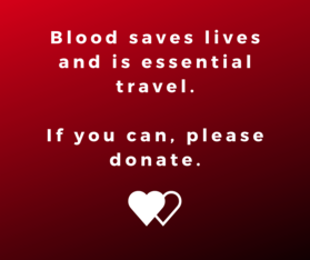 essential travel blood