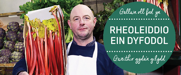 Rheoleiddio Ein Dyfodol