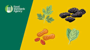 High Risk Food Not of Animal Origin