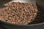 Cocoa beans