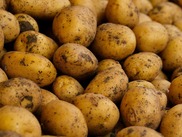 potatoes
