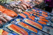 Fish counter