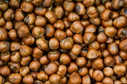 hazelnuts
