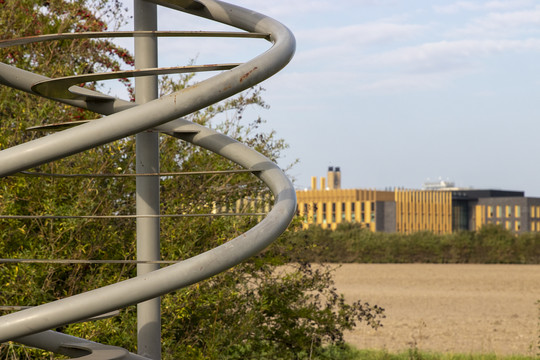 CSET Phase 2 - DNA path sculpture, with Addenbrookes Hospital in the background
