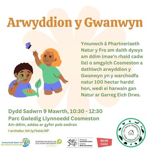 Signs of Spring welsh