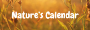 Nature's Calendar