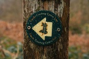 Llwybr Coedwig Cymru