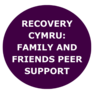 recovery support