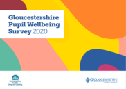 Pupil Wellbeing Survey 2020
