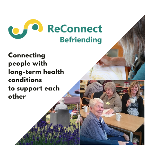 Reconnect Befriending