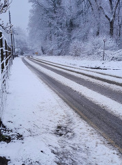 Photo of snowy tree lined road 