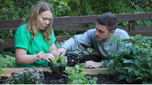 Two people working with plants in pots