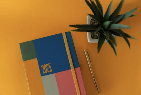 Photo of a 2025 diary and a plant on a table