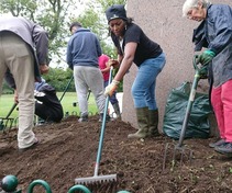 Group of people digging