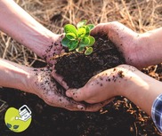 close up of hands planting a plant in soil