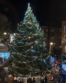 Gosport Christmas tree 2025