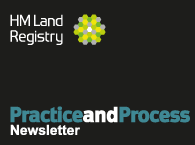 Practice and Process Newsletter