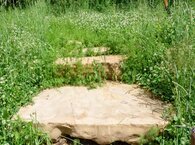 Paving stones marking a path through a grassy field.