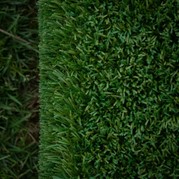 Picture of fake grass alongside real grass