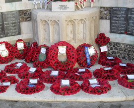 Poppies