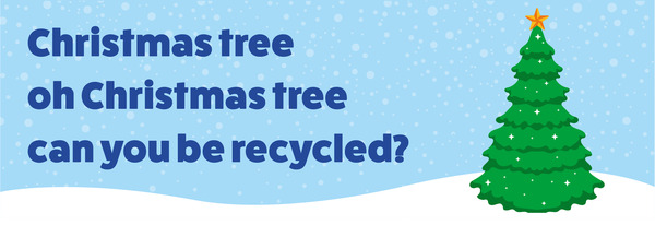 Christmas tree oh Christmas tree – can you be recycled?